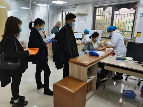 铆足干劲办实事，服务群众开新局——岳麓区党史学习教育引领教育咨询服务新实践