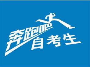 深圳宝安学历提升全攻略 自考、成考、网络教育对比与选择